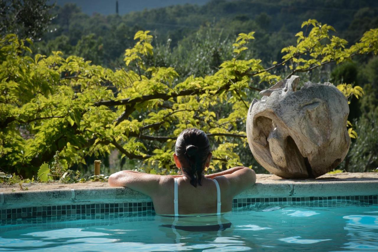 Domaine Des Tilleuls D'Or Saint-Cézaire-sur-Siagne Exterior foto